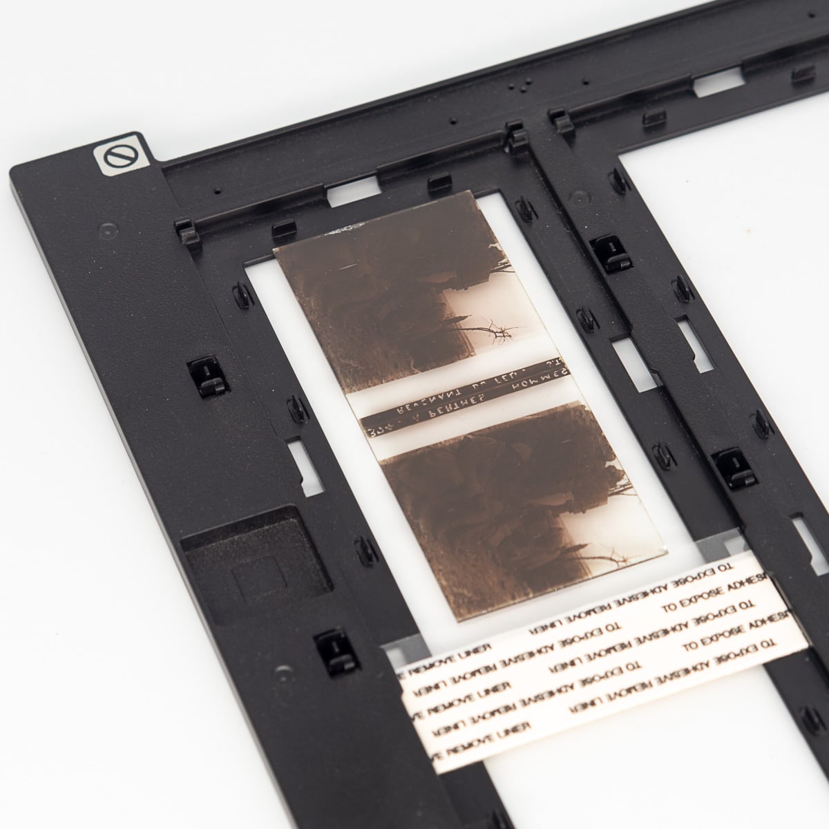 45x107mm slide in the scan holder which rests on the right side on a plastic strip
